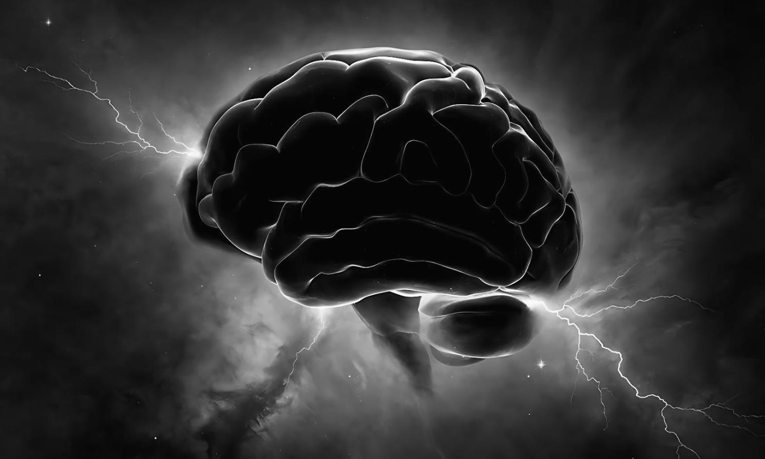 Moderne Landwirtschaft mit KI-gestützten Systemen